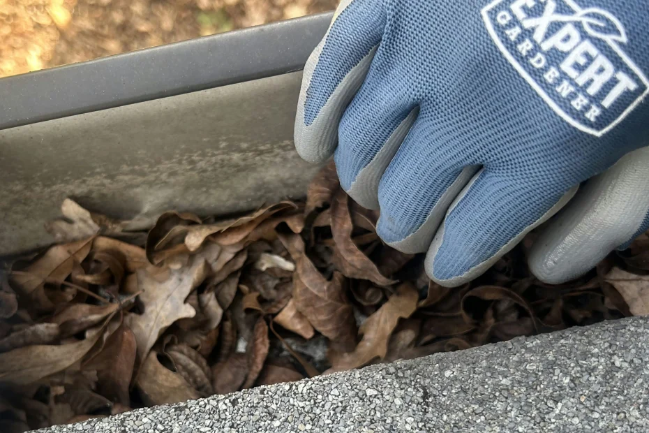 Gutter Cleaning Jacksonville FL