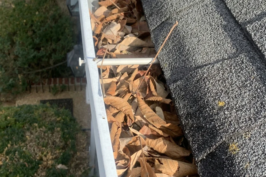 Gutter Cleaning Jacksonville FL