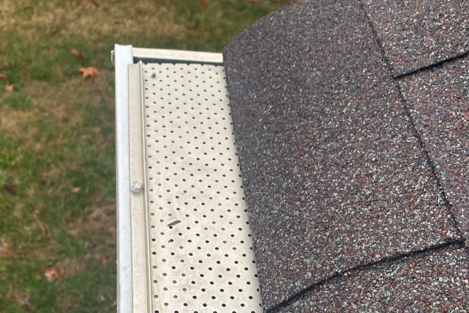 Gutter Cleaning Jacksonville FL