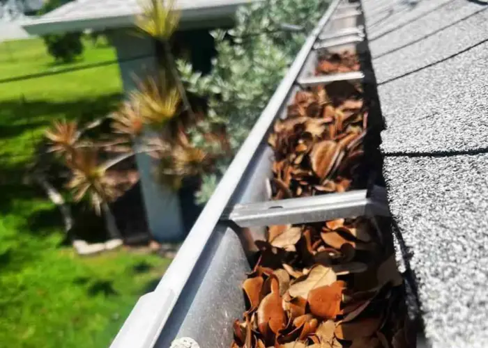 Gutter Cleaning Jacksonville FL home page